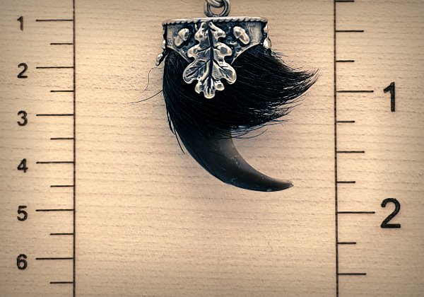 Charivari